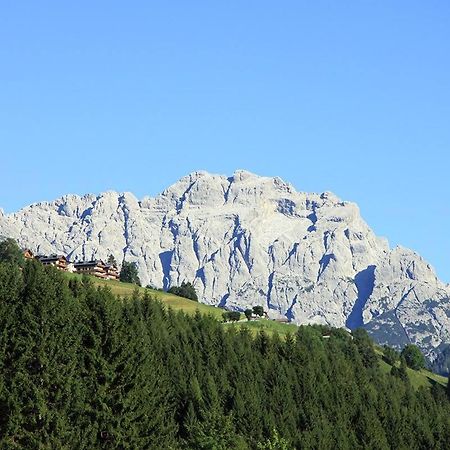 Апартаменты Maso Drigo San Nicolo di Comelico Экстерьер фото